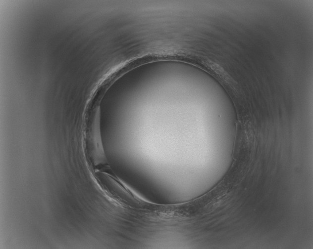 X0000052940728200507300017