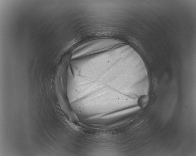 X0000052940729200507300017