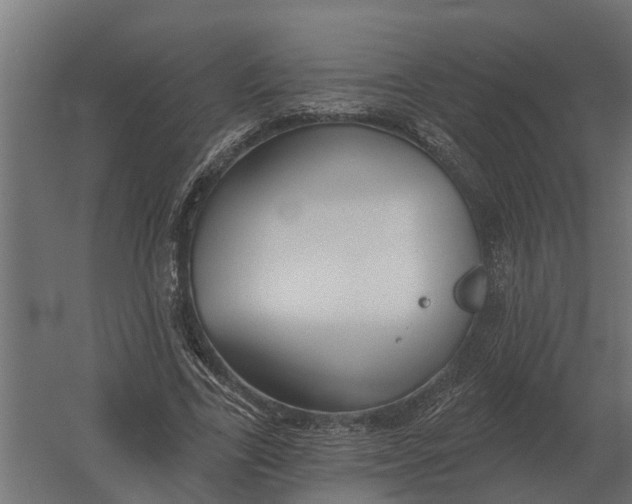 X0000052940731200507300017