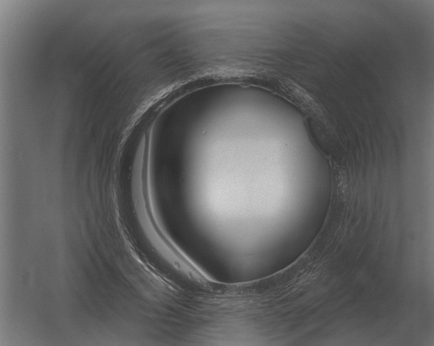 X0000052940732200507300017