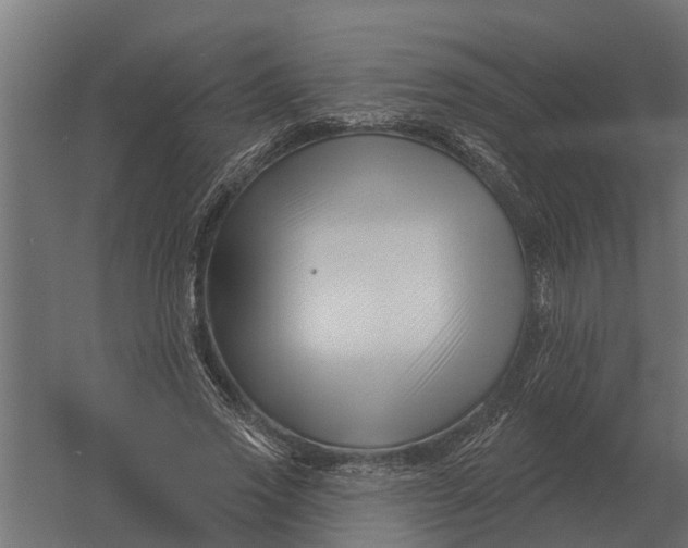 X0000052940733200507300017