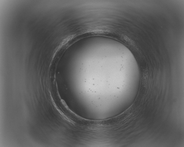 X0000052940734200507300017