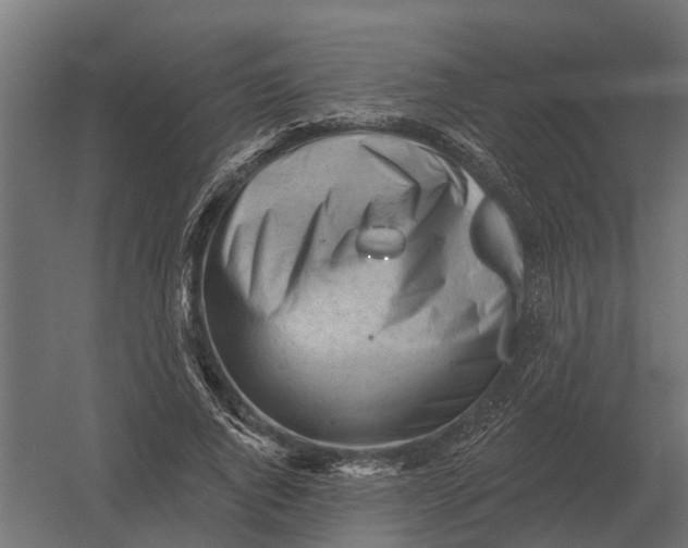 X0000052940736200507300018