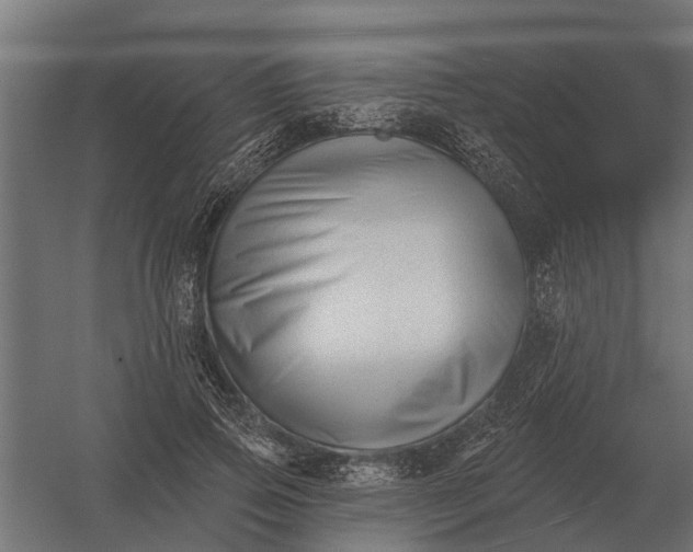 X0000052940741200507300018