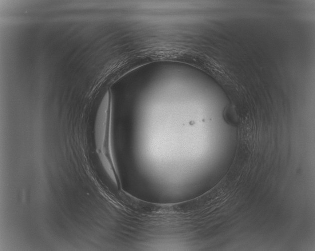 X0000052940742200507300018