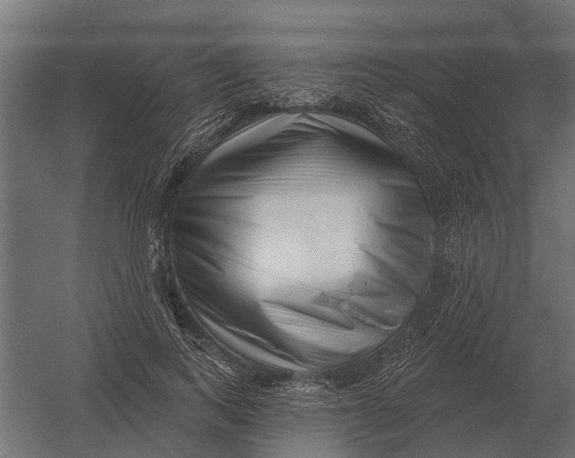 X0000052940743200507300018