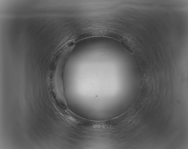 X0000052940744200507300018