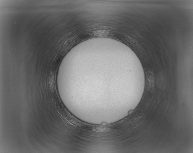 X0000052940745200507300018