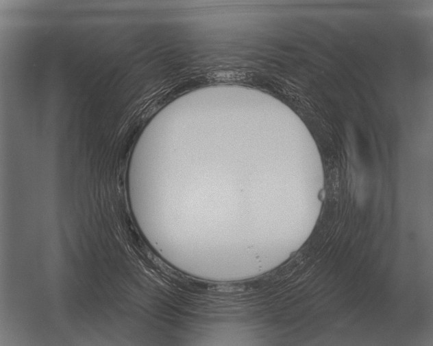 X0000052940746200507300018