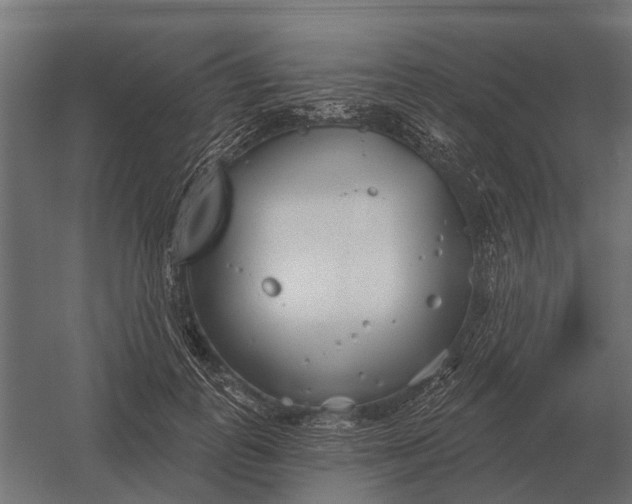 X0000052940747200507300018