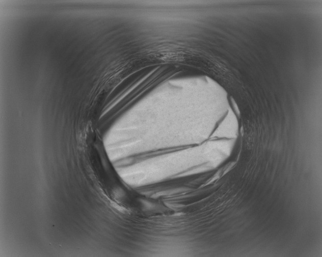 X0000052940748200507300018