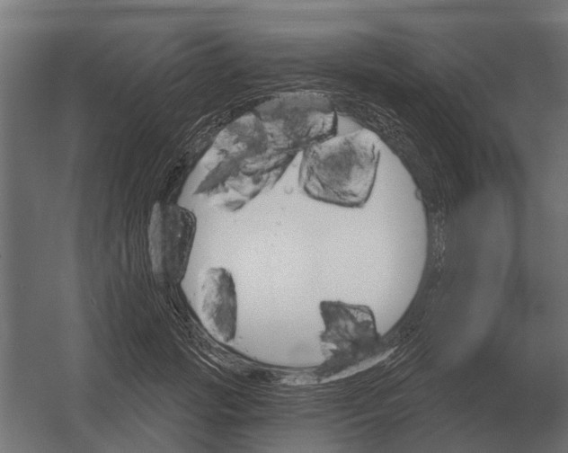 X0000052940749200507300018