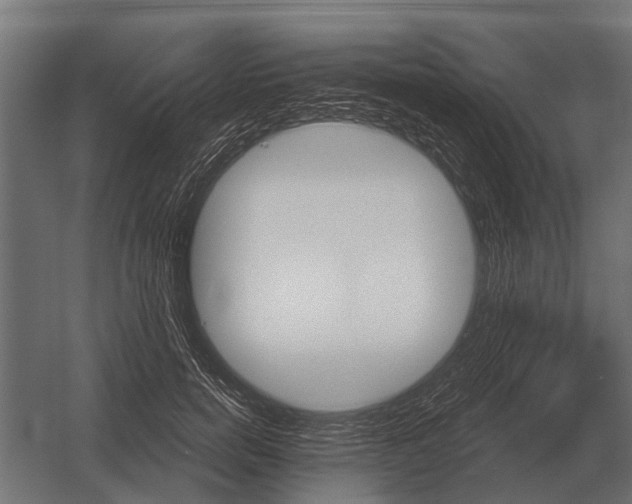 X0000052940750200507300018