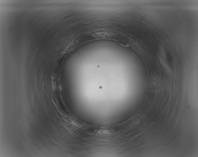 X0000052940751200507300018