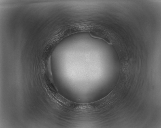 X0000052940752200507300018