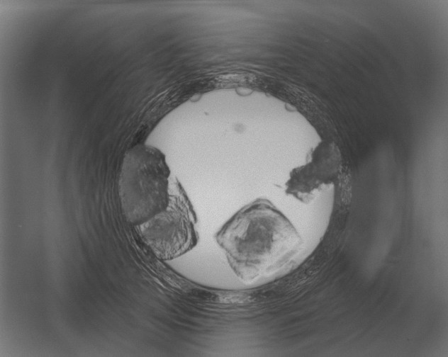 X0000052940753200507300018