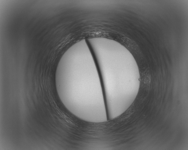 X0000052940754200507300018