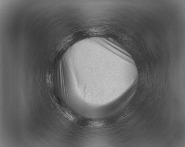 X0000052940755200507300018