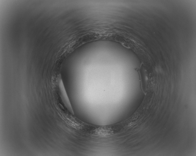 X0000052940756200507300018