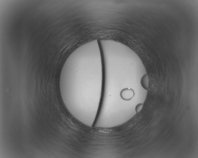 X0000052940758200507300018