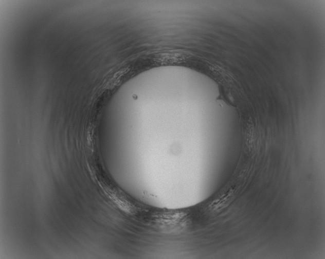 X0000052940759200507300018