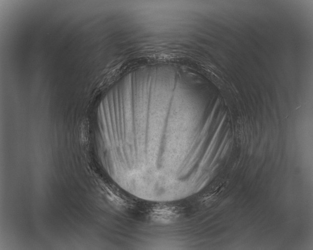 X0000052940760200507300018