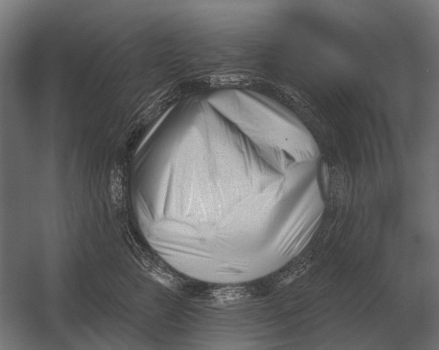 X0000052940761200507300018