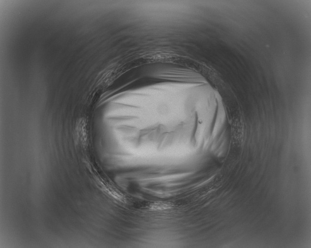 X0000052940762200507300018