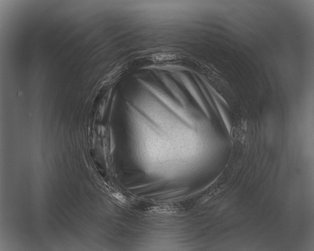 X0000052940763200507300018