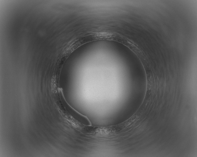 X0000052940764200507300018