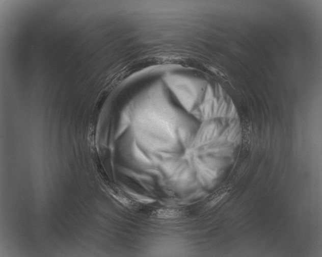 X0000052940766200507300018