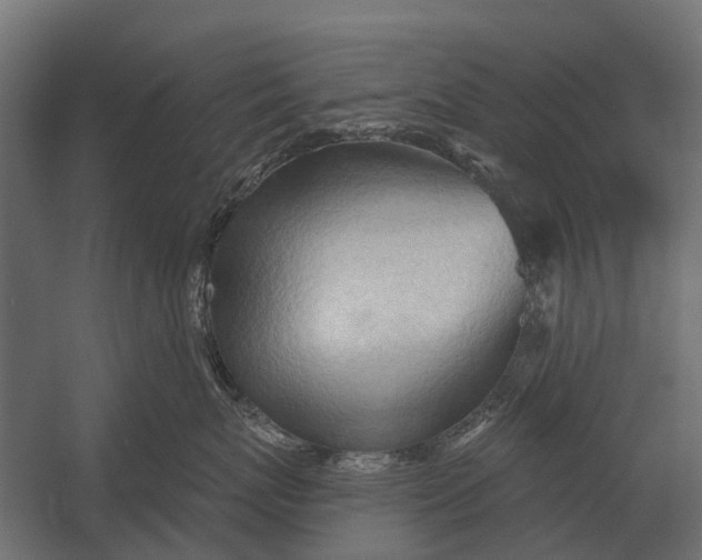 X0000052940767200507300018