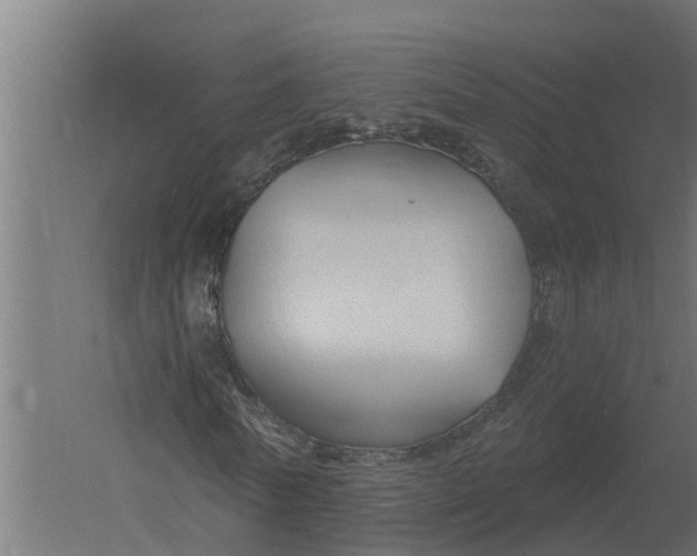 X0000052940770200507300017