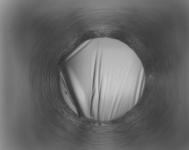 X0000052940772200507300017