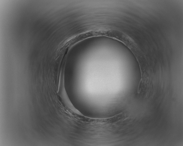 X0000052940773200507300017