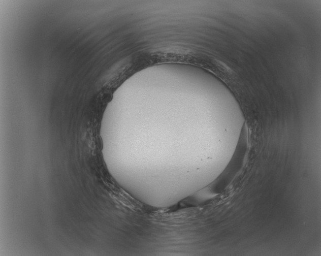 X0000052940774200507300017