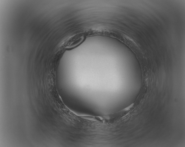 X0000052940776200507300017