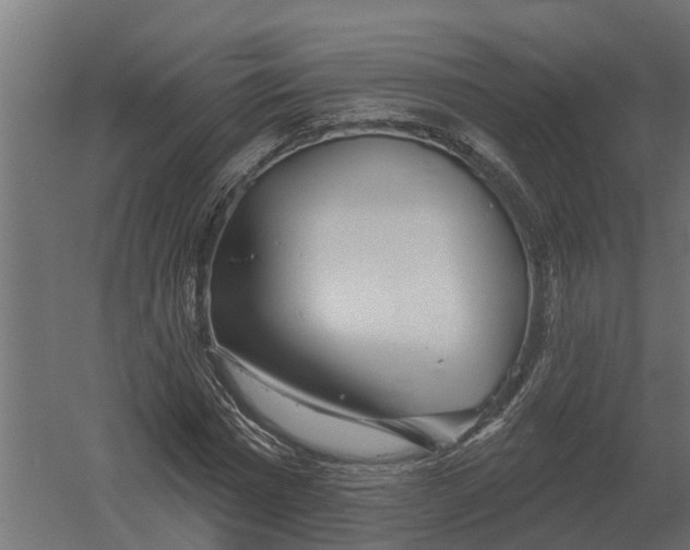 X0000052940777200507300017