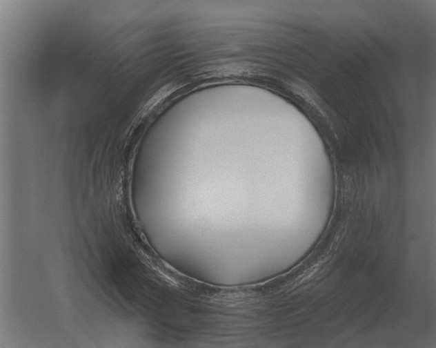 X0000052940778200507300017