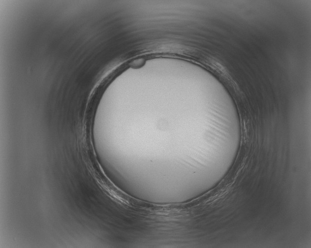 X0000052940780200507300017