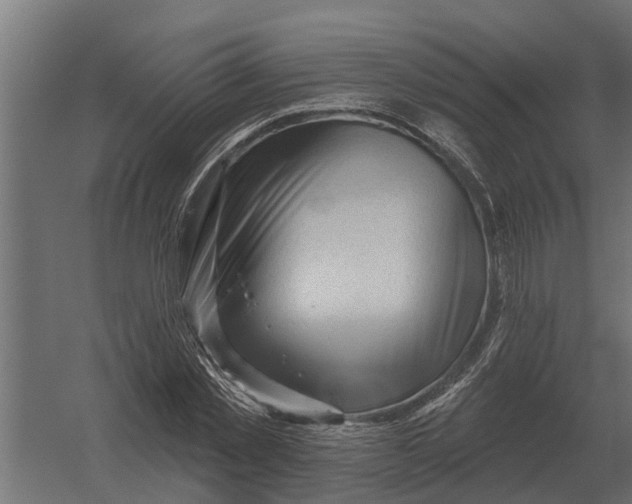 X0000052940781200507300017