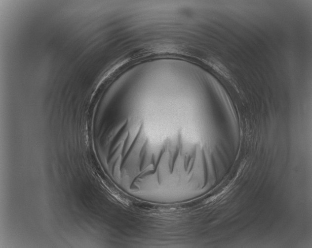 X0000052940782200507300017