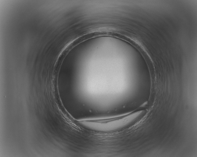 X0000052940783200507300017