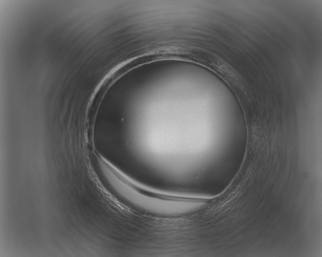 X0000052940784200507300017