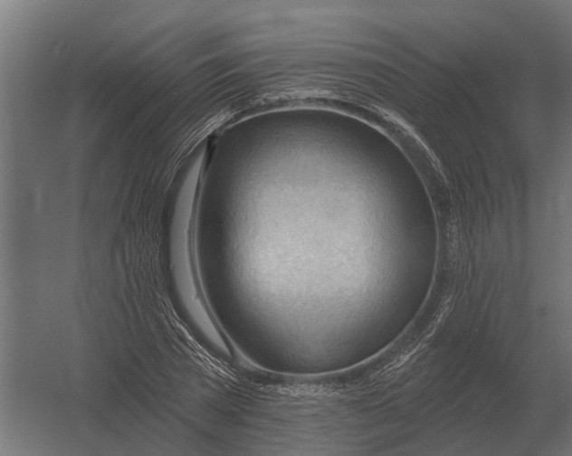 X0000052940785200507300017