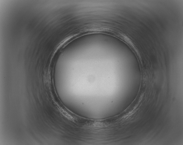 X0000052940787200507300017