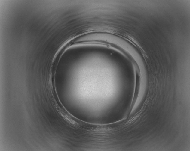 X0000052940788200507300017