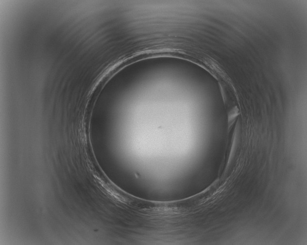 X0000052940789200507300017