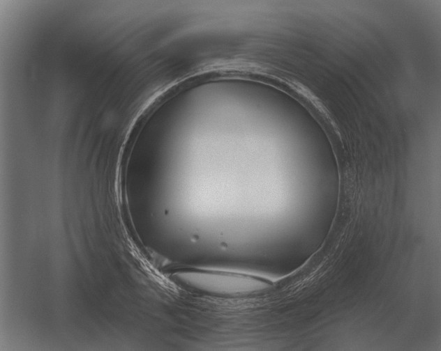 X0000052940791200507300017