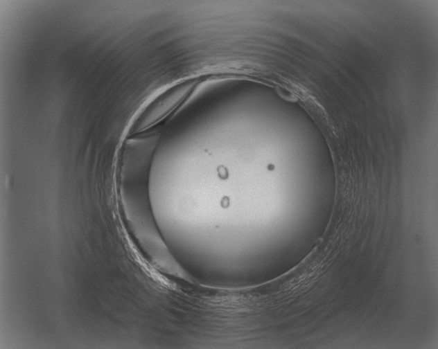 X0000052940792200507300017